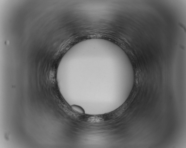 X0000102510714200808081007