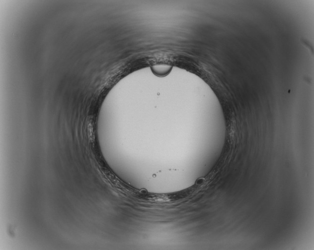 X0000102510715200808081007