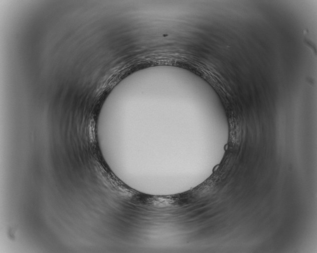 X0000102510718200808081007