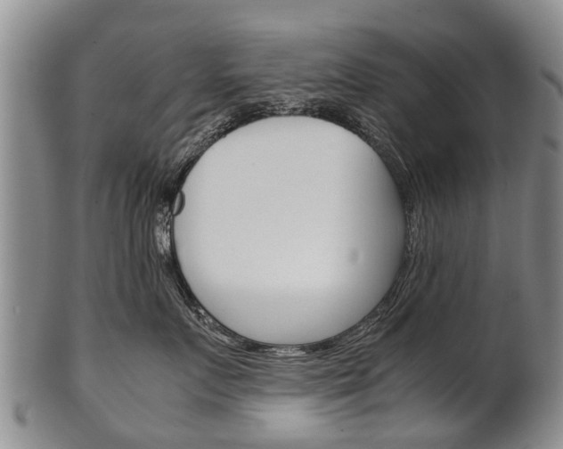 X0000102510719200808081007