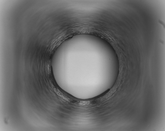 X0000102510720200808081007