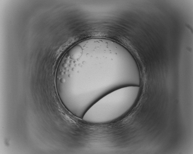 X0000102510721200808081006