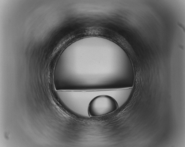 X0000102510722200808081006