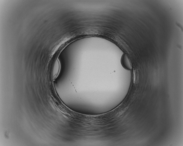 X0000102510723200808081006