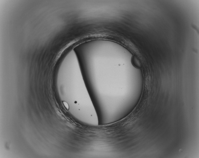 X0000102510724200808081006