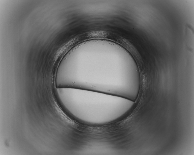X0000102510725200808081006