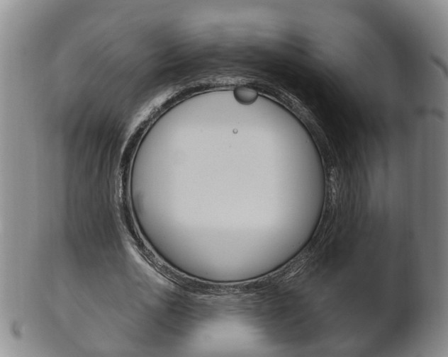 X0000102510726200808081006