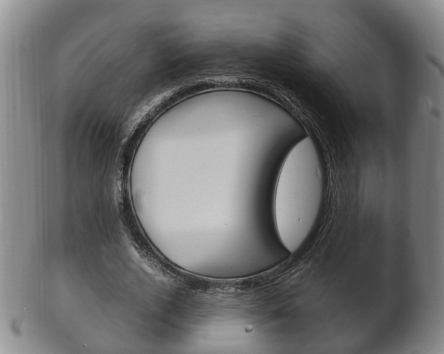 X0000102510728200808081006