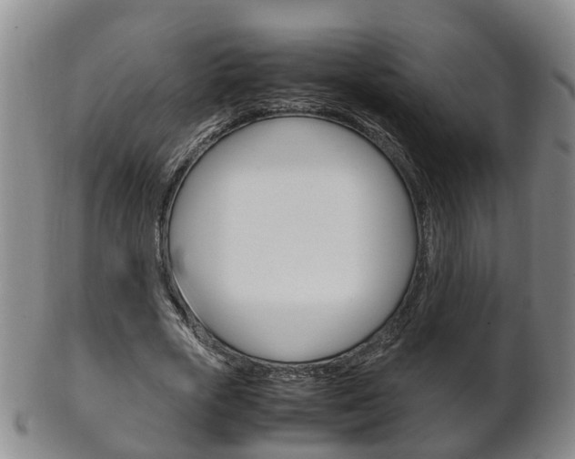 X0000102510729200808081006