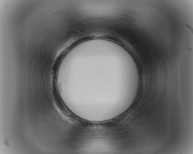 X0000102510730200808081006