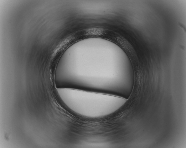 X0000102510731200808081006