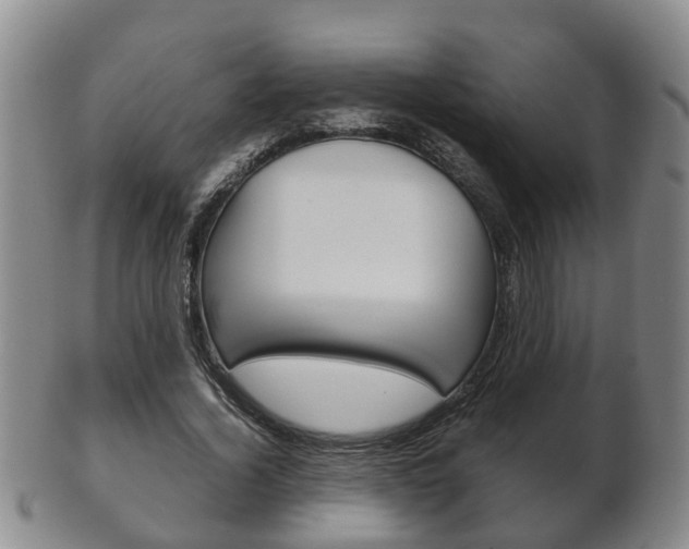 X0000102510732200808081006