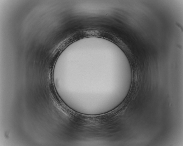X0000102510733200808081006