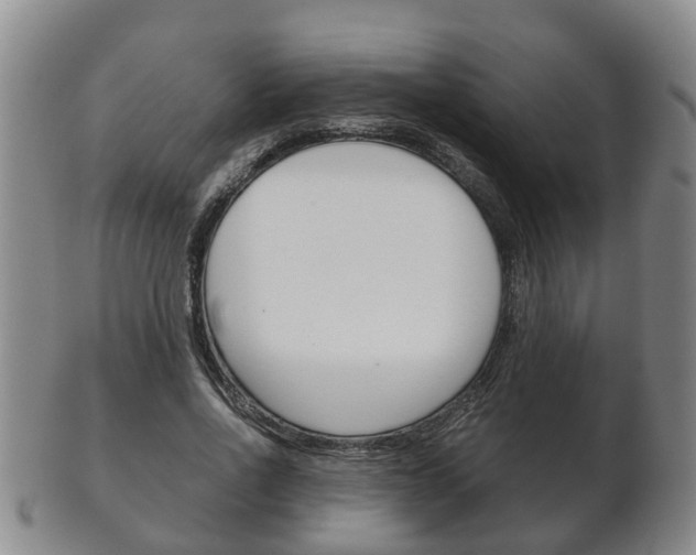 X0000102510734200808081006