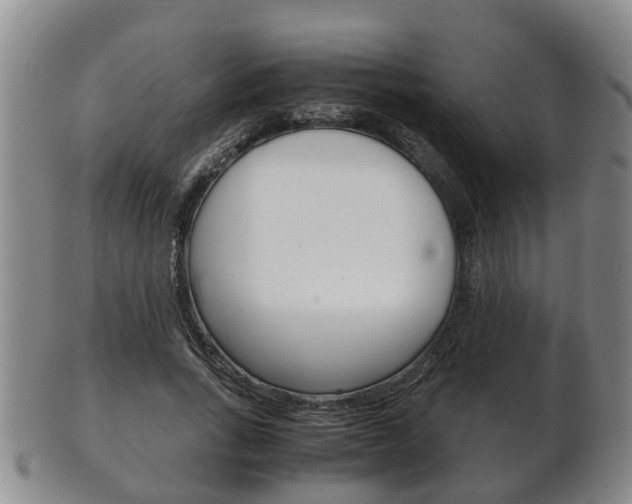X0000102510735200808081006