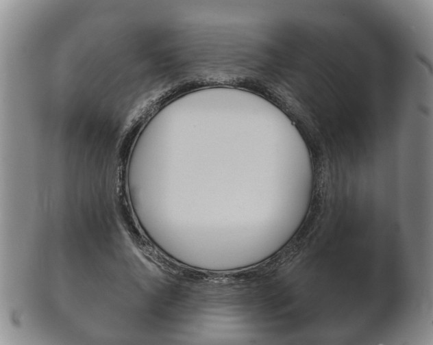 X0000102510736200808081006