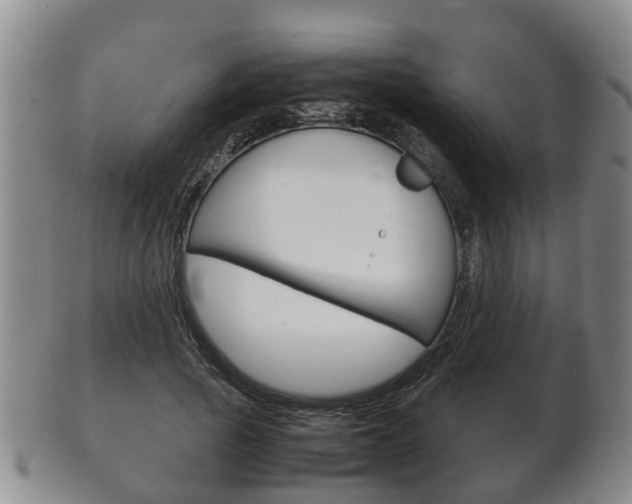X0000102510737200808081006