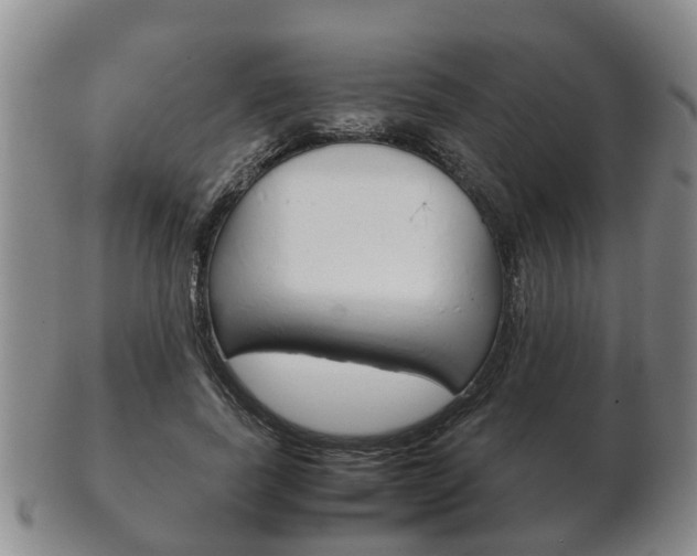 X0000102510739200808081006