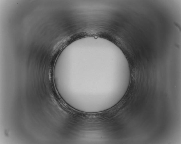 X0000102510740200808081006