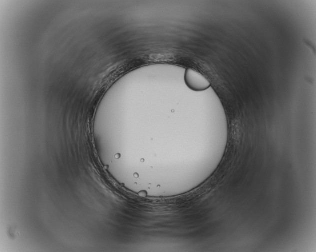 X0000102510741200808081006