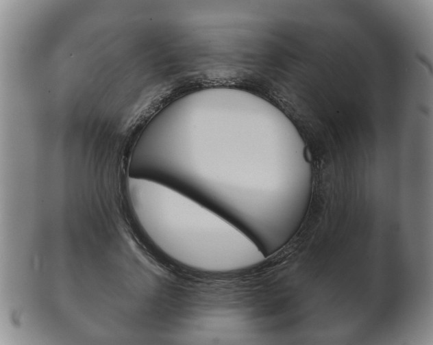 X0000102510742200808081006