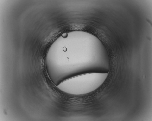 X0000102510743200808081006