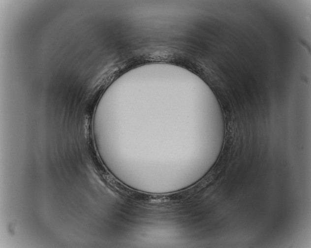 X0000102510744200808081006