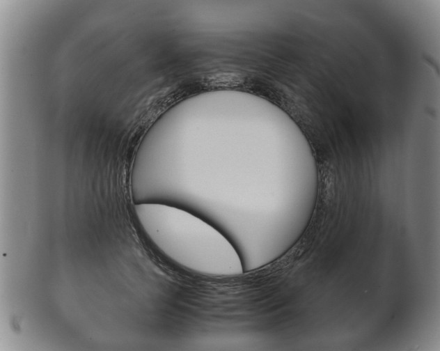 X0000102510745200808081006