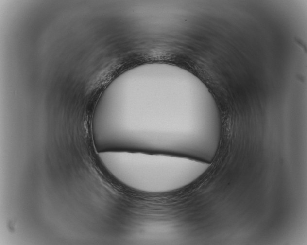 X0000102510746200808081006