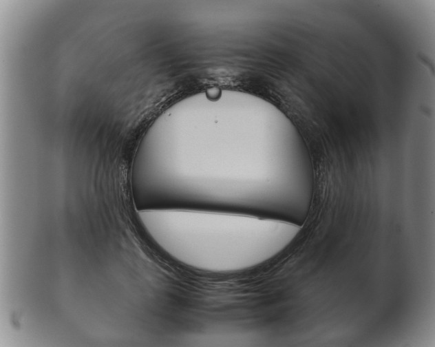X0000102510747200808081006