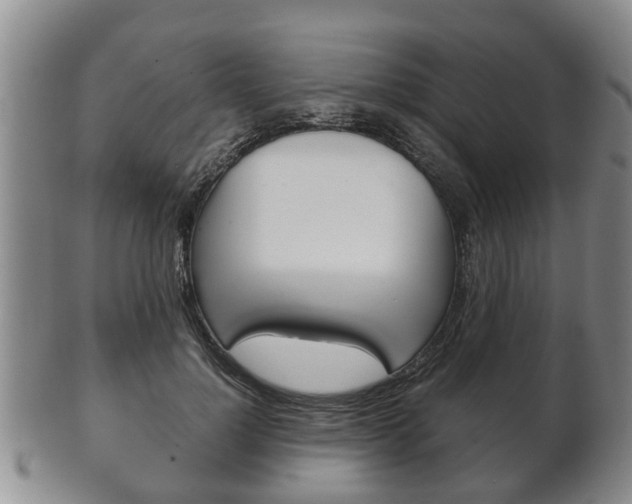 X0000102510748200808081007