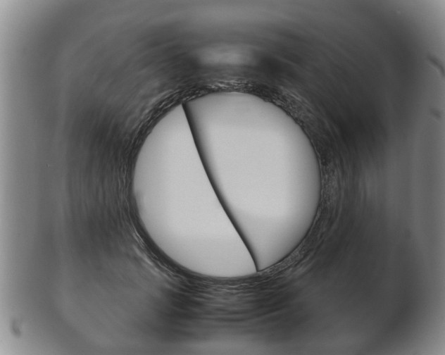 X0000102510749200808081007