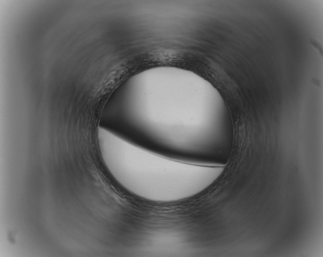 X0000102510750200808081007