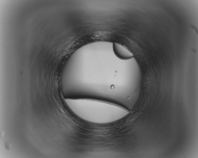 X0000102510751200808081007