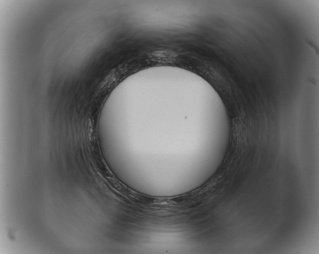 X0000102510752200808081007