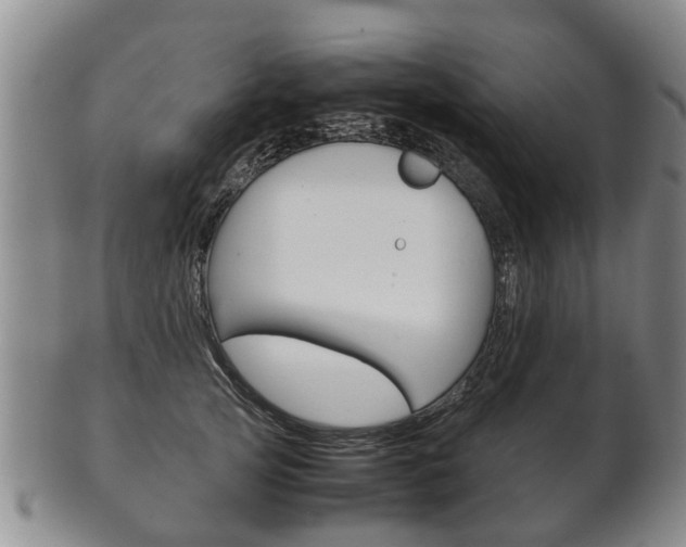 X0000102510753200808081007