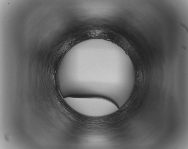 X0000102510754200808081007