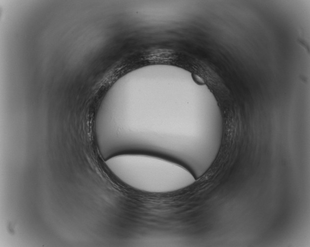 X0000102510755200808081007