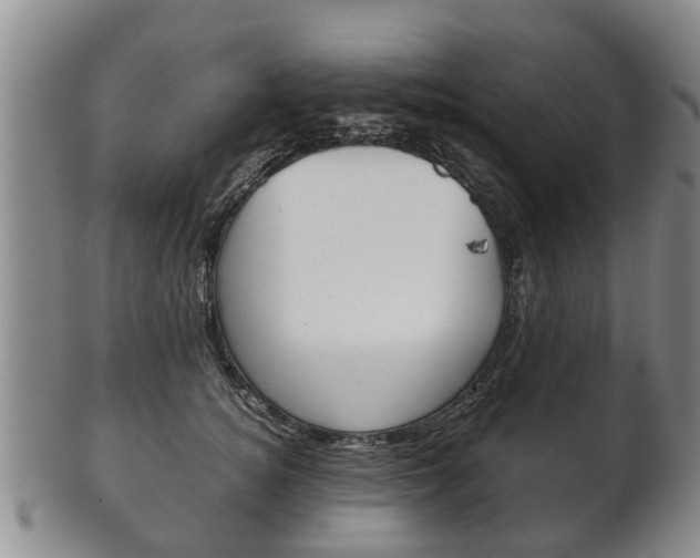 X0000102510756200808081007
