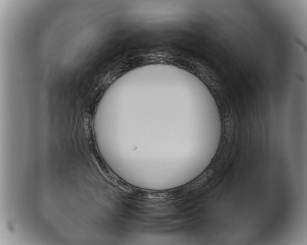 X0000102510757200808081007