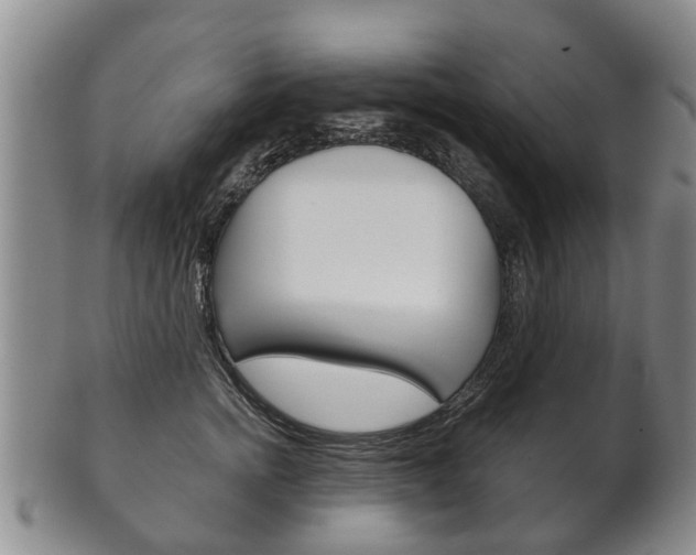 X0000102510758200808081007