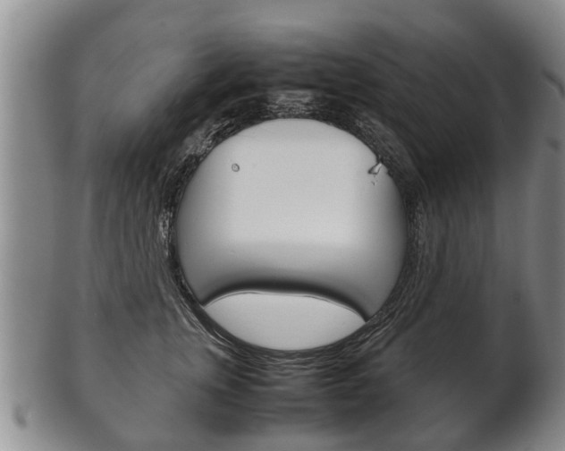 X0000102510759200808081007