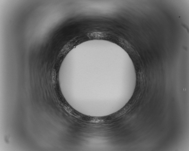 X0000102510760200808081007
