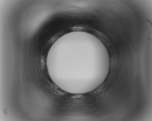 X0000102510761200808081007