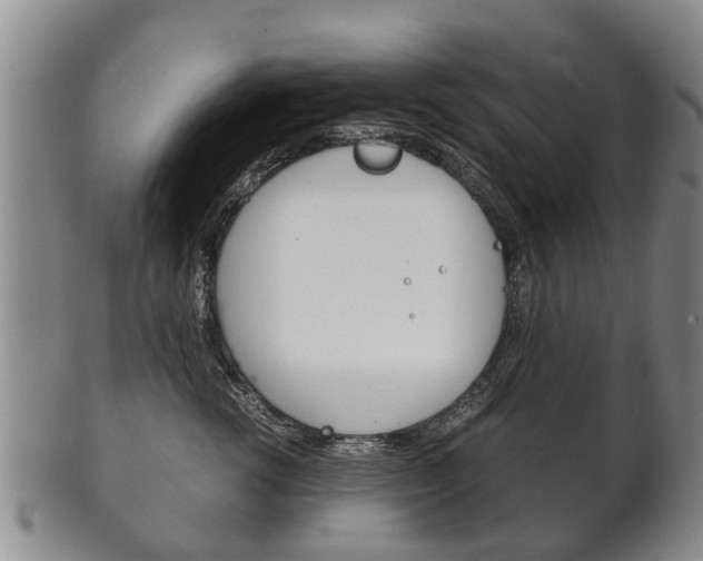 X0000102510762200808081007