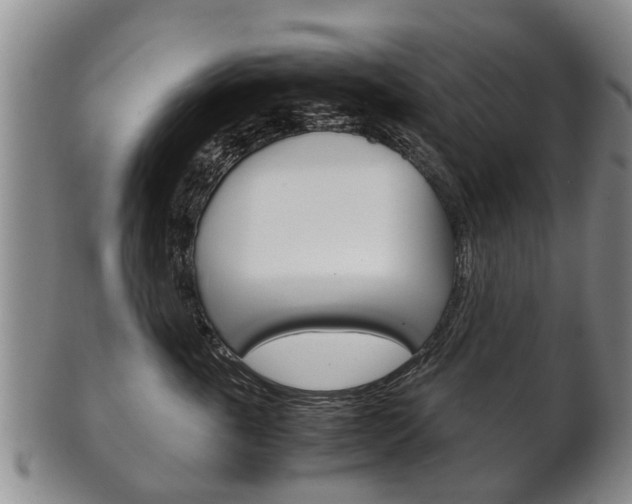 X0000102510763200808081007