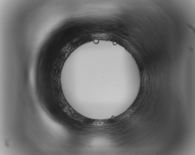 X0000102510764200808081007