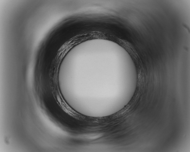 X0000102510765200808081007