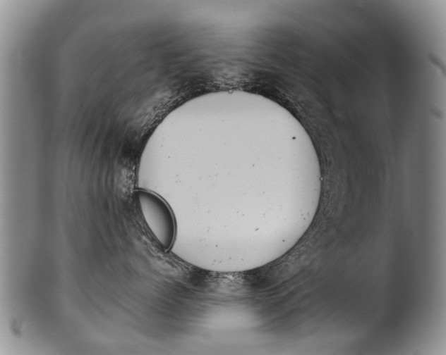 X0000102510768200808081007