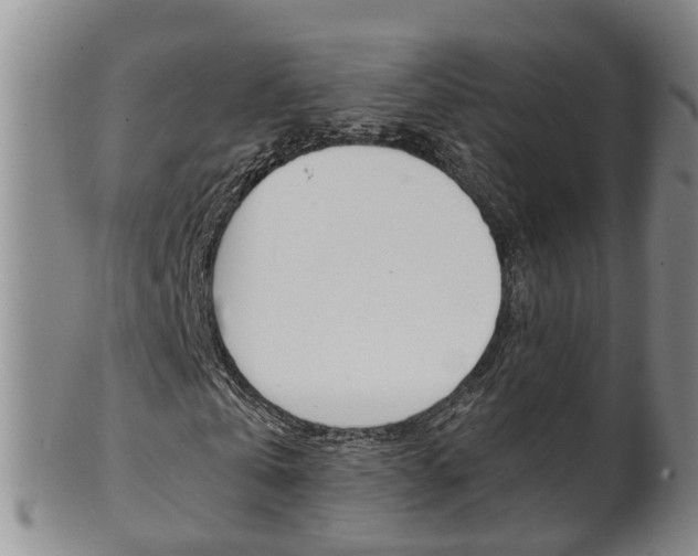 X0000102510769200808081006
